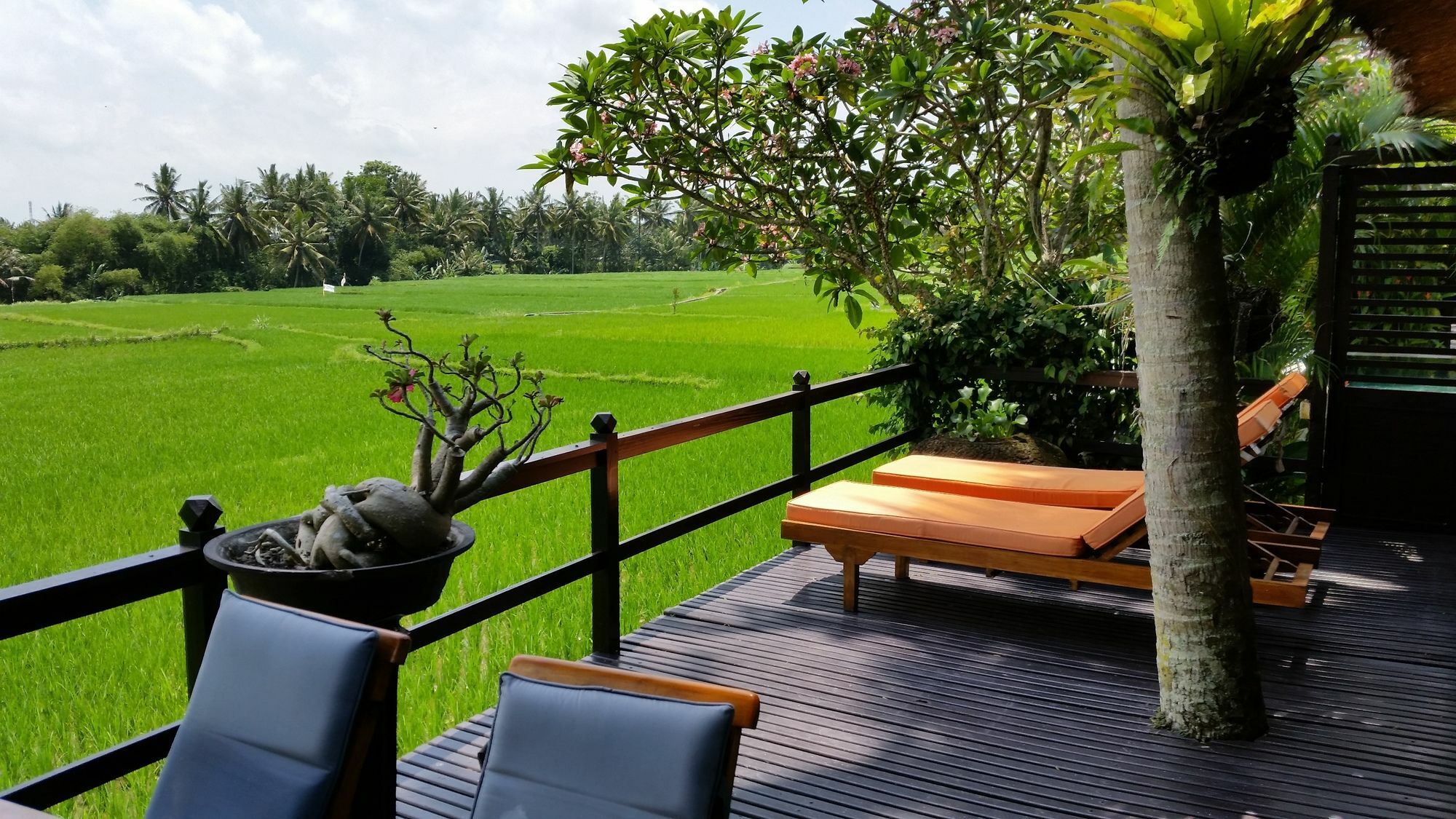 Lodtunduh Sari Hotel Ubud  Ngoại thất bức ảnh