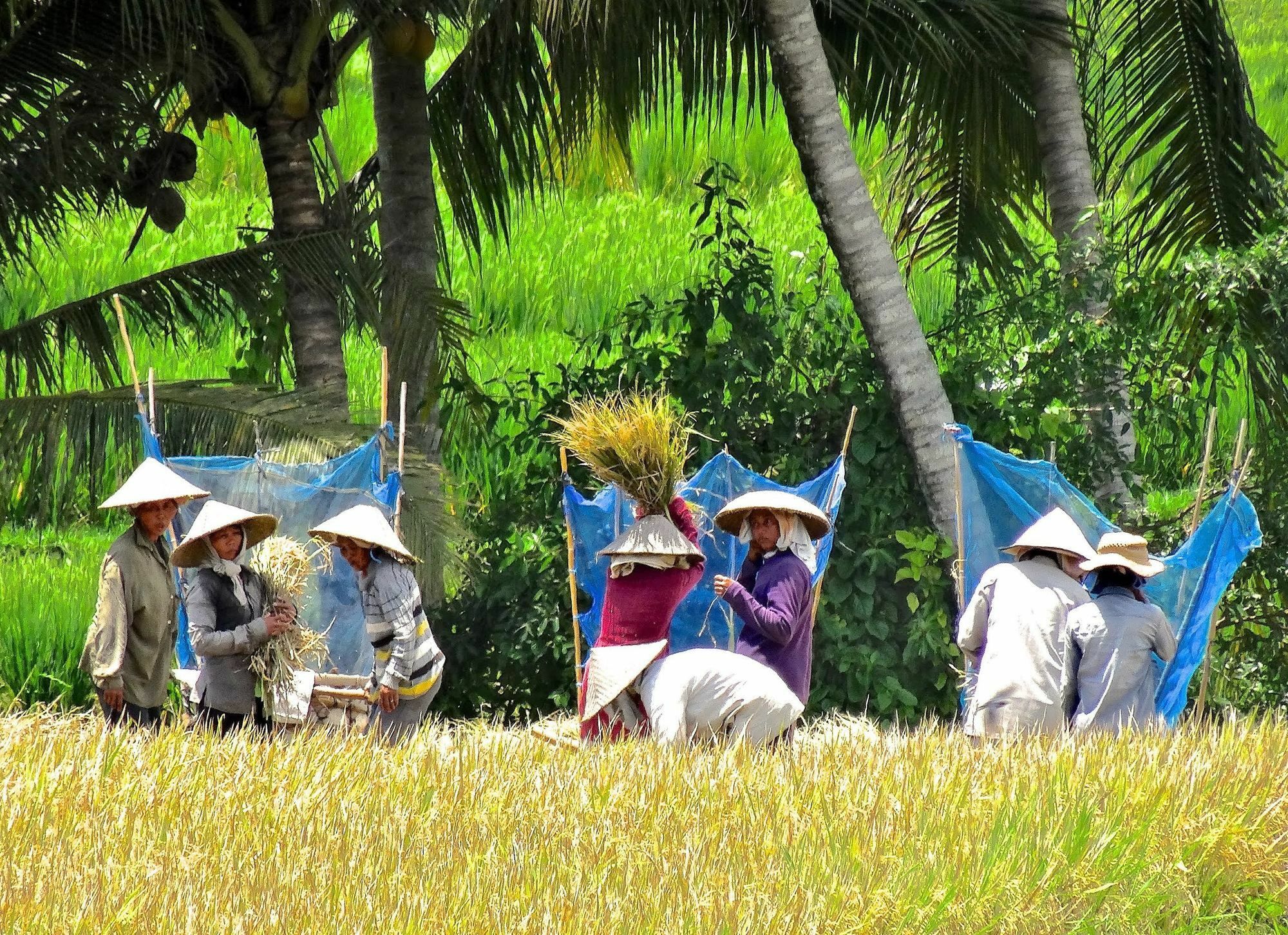 Lodtunduh Sari Hotel Ubud  Ngoại thất bức ảnh