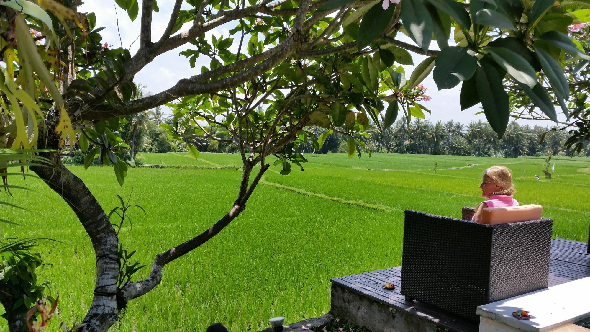 Lodtunduh Sari Hotel Ubud  Ngoại thất bức ảnh
