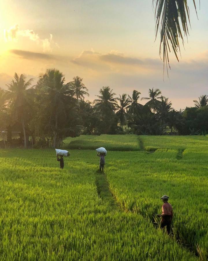 Lodtunduh Sari Hotel Ubud  Ngoại thất bức ảnh